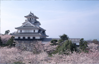 長浜城　イメージ
