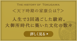 晩年時期の家康公は？