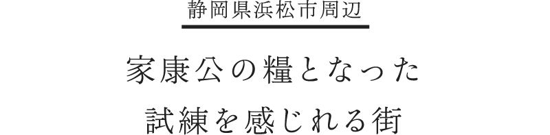information 家康公の糧となった試練を感じれる街