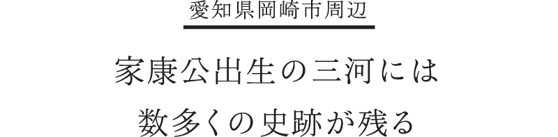 information 家康公出生の三河には数多くの史跡が残る