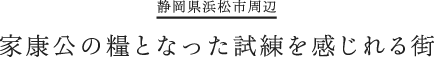 information 家康公の糧となった試練を感じれる街